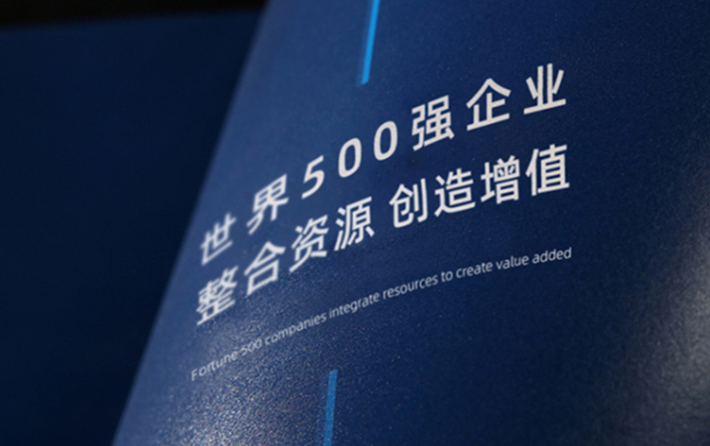 建發(fā)股份品牌全案服務(wù)